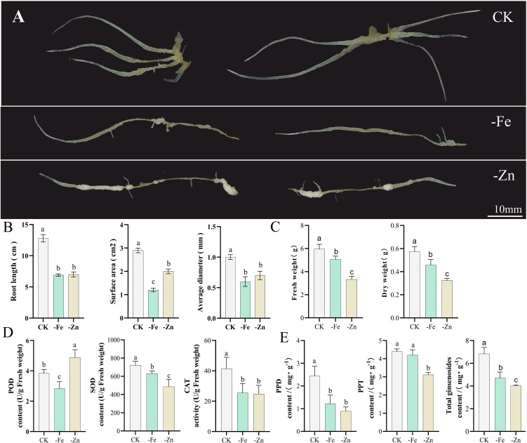 Figure 1