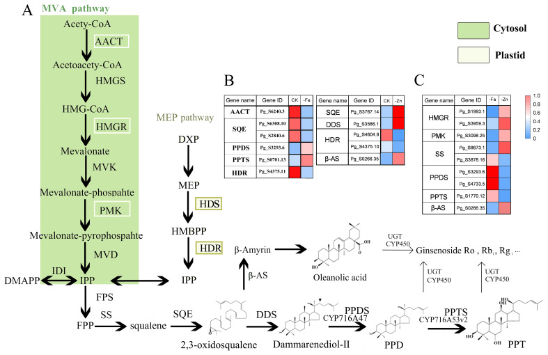 Figure 4