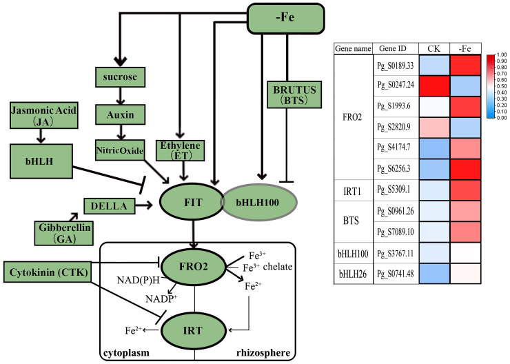 Figure 6