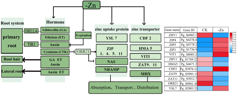 Figure 7