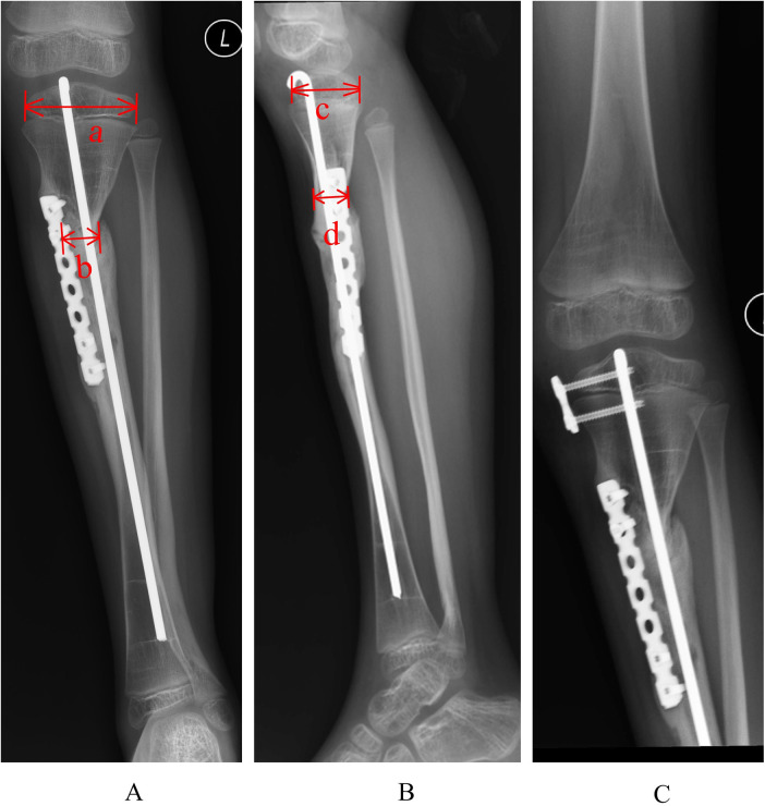 Figure 5