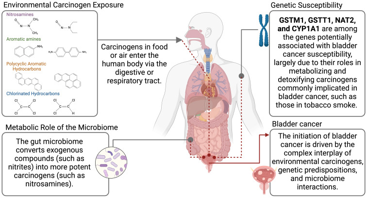 Figure 6