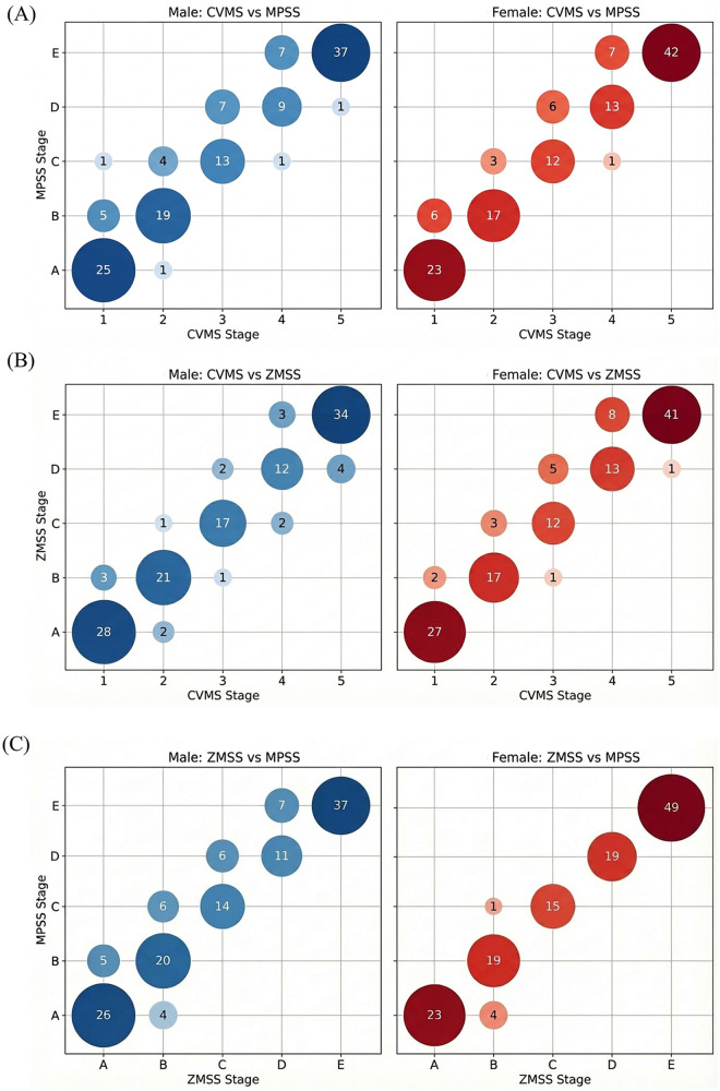 Figure 3