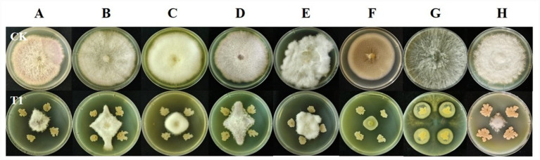 Figure 9
