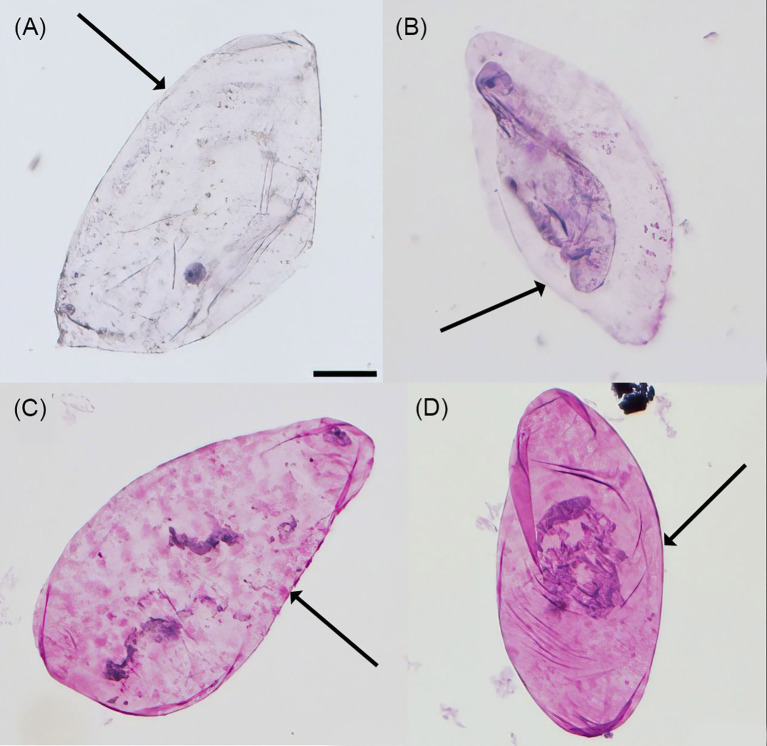 Figure 6