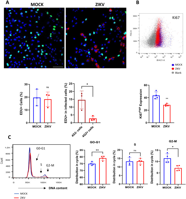 Figure 2