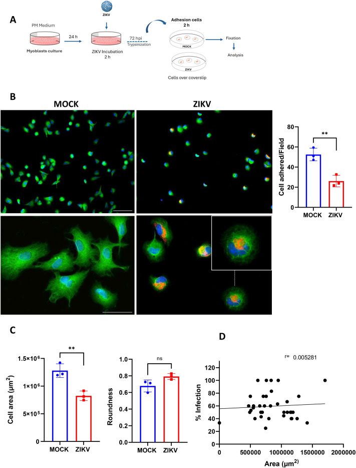 Figure 3