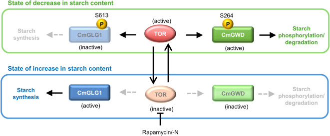 Figure 2
