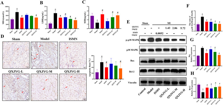 Figure 5