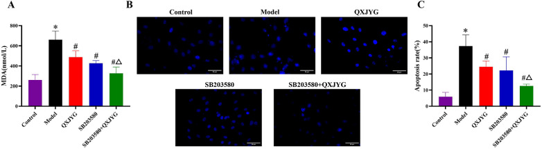 Figure 7