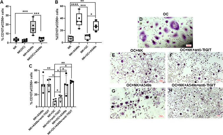 Figure 6