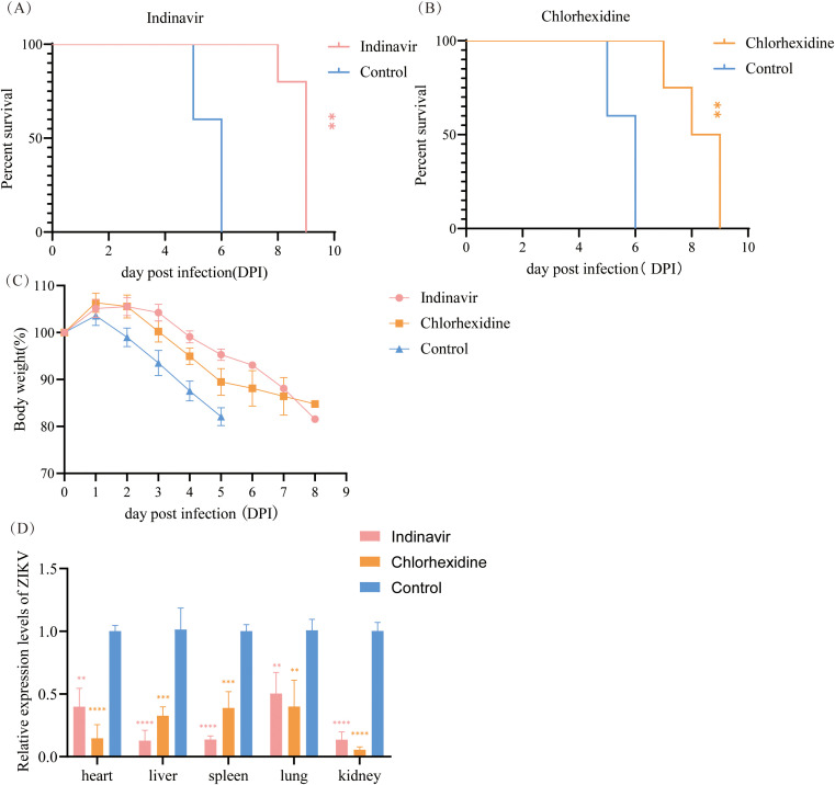 Figure 4