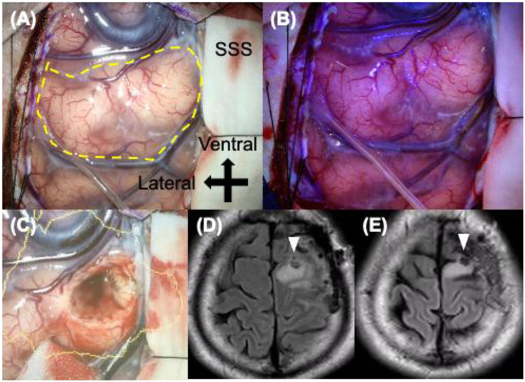 Figure 2
