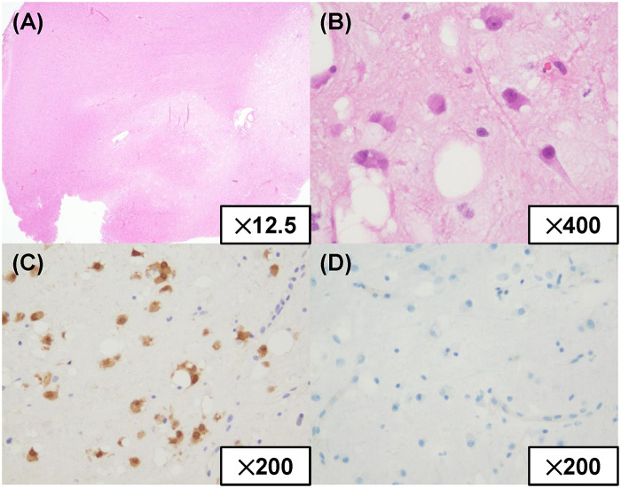Figure 3