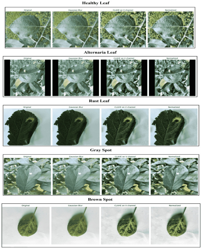 Figure 4