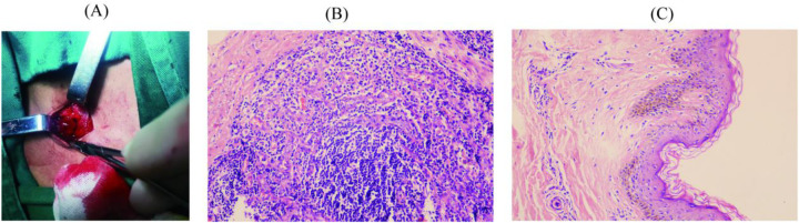 Figure 2
