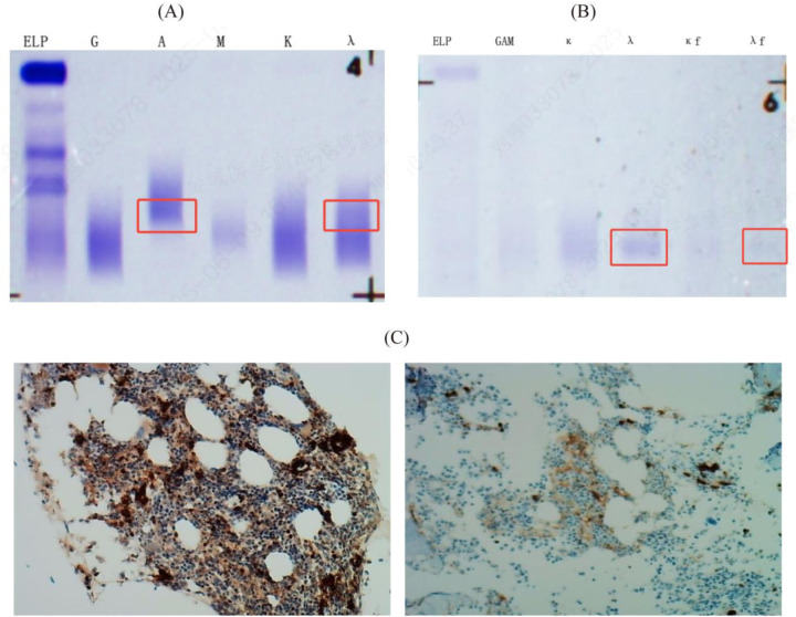 Figure 3