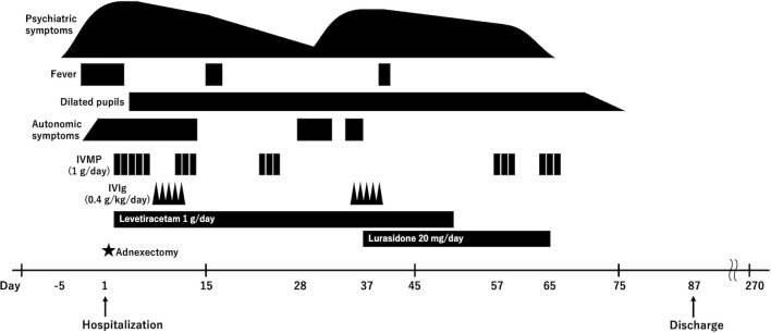 Figure 1