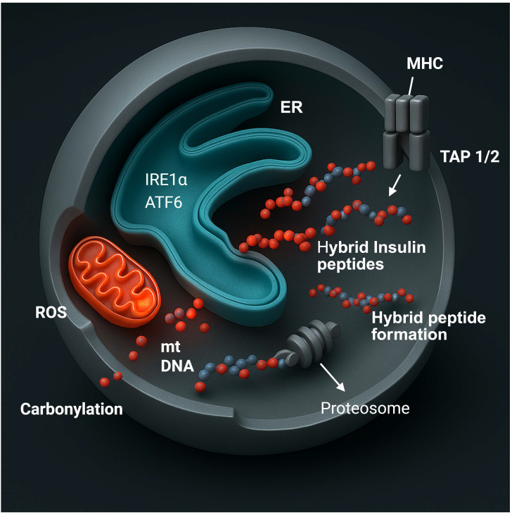 Figure 2