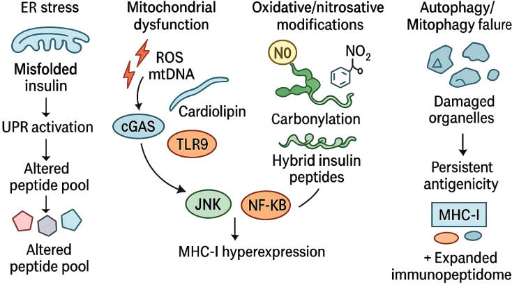 Figure 3