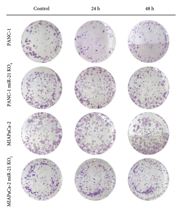 Figure 12