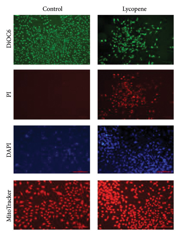 Figure 13