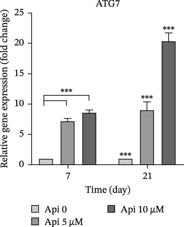 Figure 11