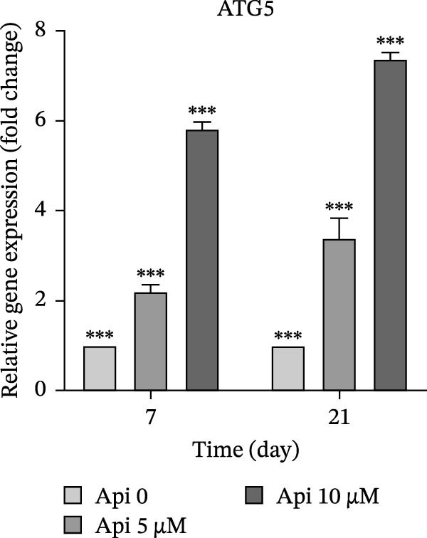 Figure 12