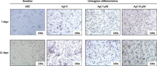 Figure 16