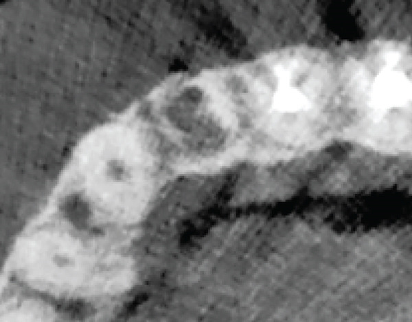 Figure 8