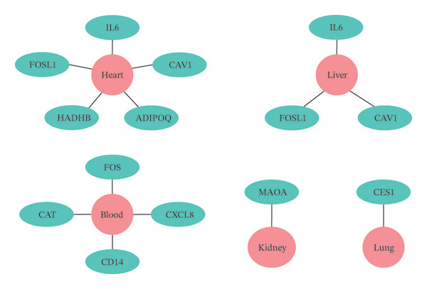Figure 13