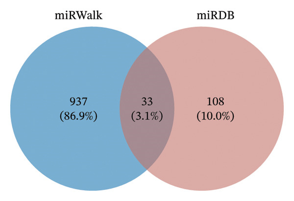 Figure 19