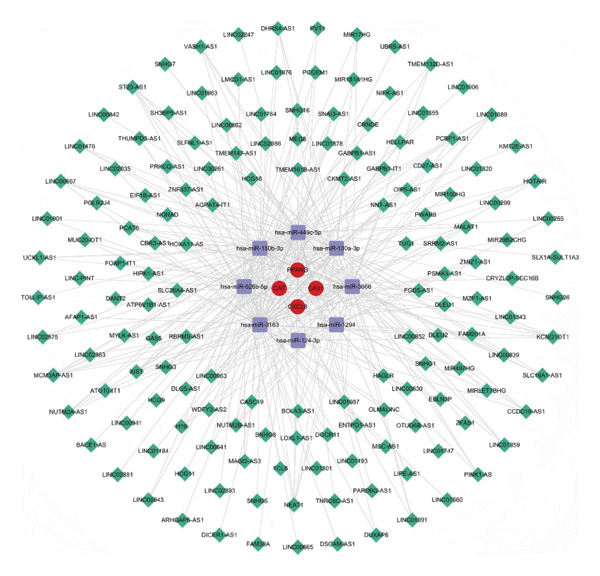 Figure 21