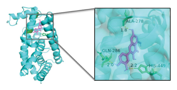 Figure 22