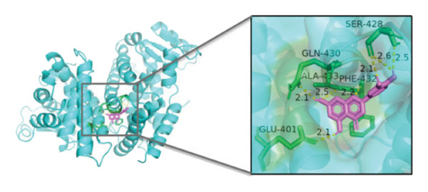 Figure 23