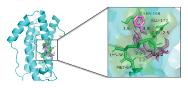 Figure 24