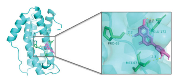 Figure 25