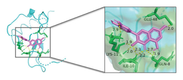 Figure 26