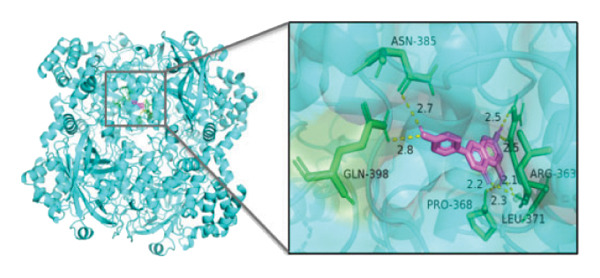 Figure 28