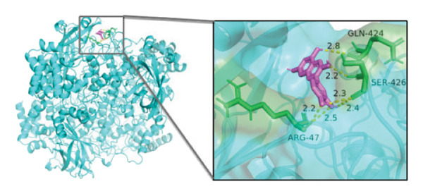 Figure 29