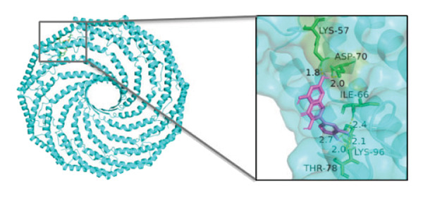 Figure 30