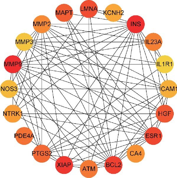 Figure 12
