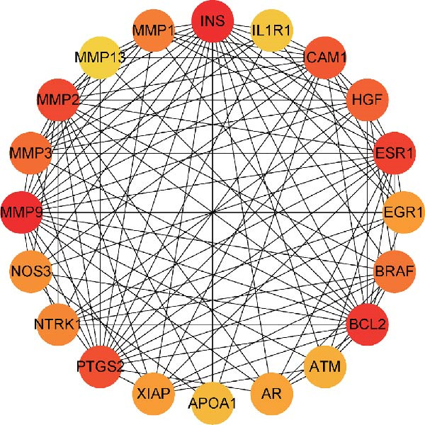 Figure 13