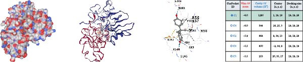 Figure 27