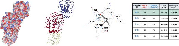 Figure 29