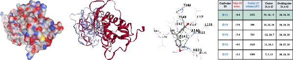 Figure 30