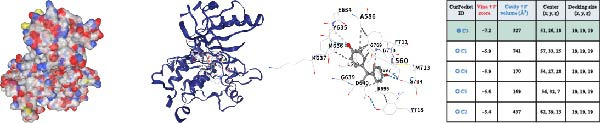 Figure 31