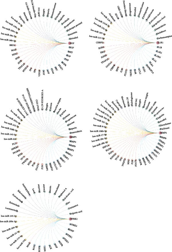 Figure 39