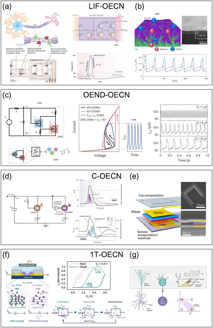 Figure 10