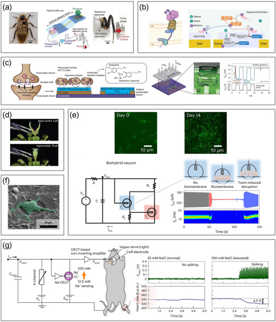 Figure 14